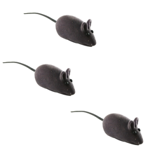 ratinho cinza c 3