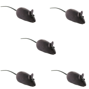 ratinho cinza c 5